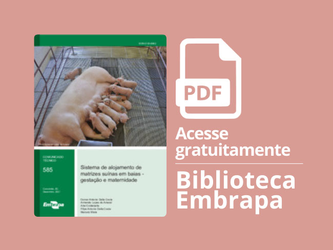 Publicação