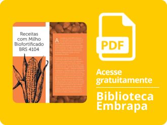 Receitas com Milho Biofortificado BRS 4104