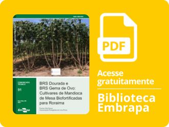 BRS Dourada e BRS Gema de Ovo: Cultivares de Mandioca de Mesa Biofortificadas para Roraima