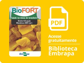 Biofortificação: mandioca BRS Jari