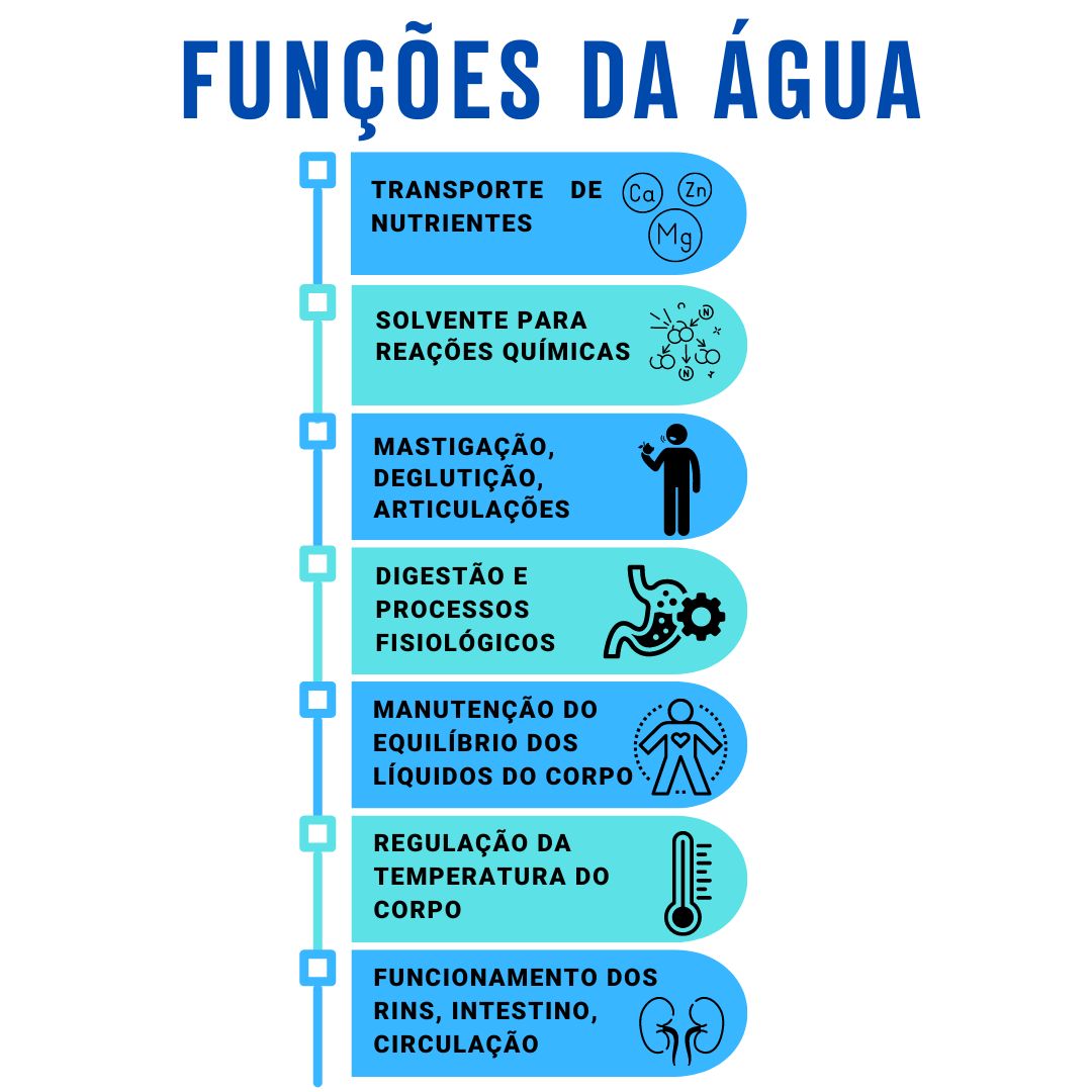 Infográfico funções da água