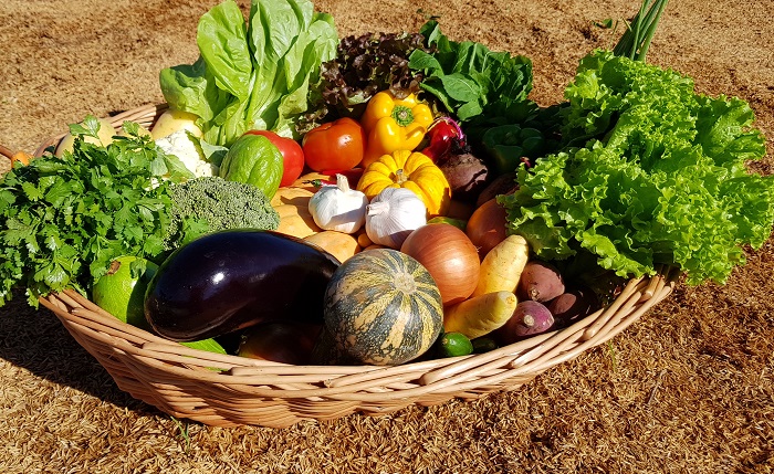 Cesta de vime contendo uma grande variedade de hortaliças como berinjela, alface, abobrinha, cebola e alho.