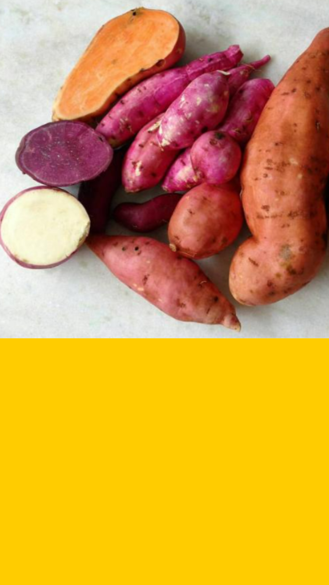 Batata-doce biofortificada