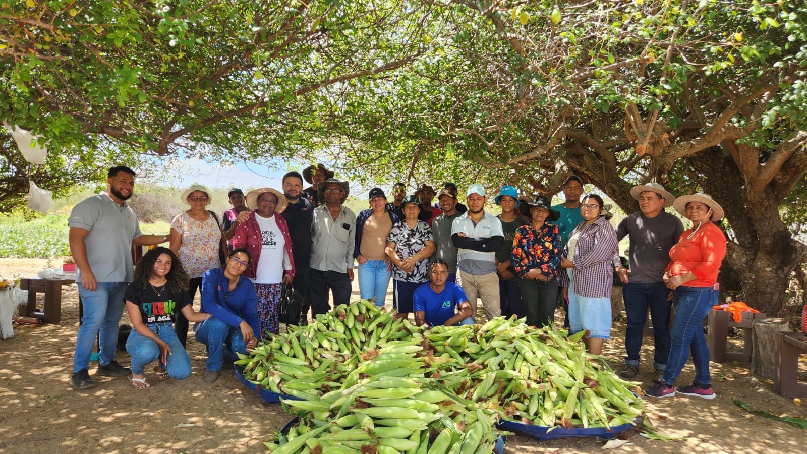 equipe de campo reunida