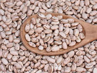 feijão biofortificado