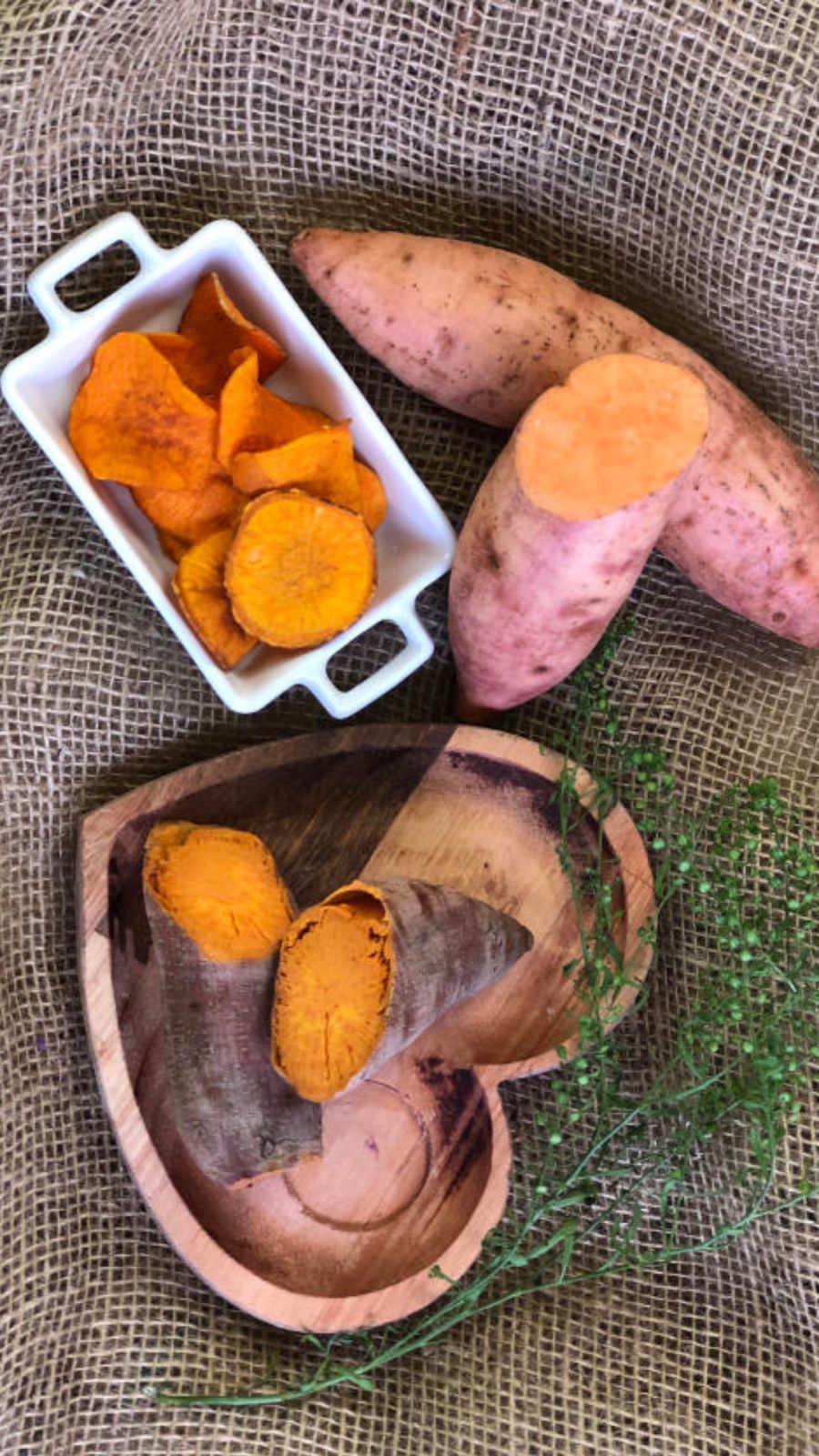 batata doce biofortificada