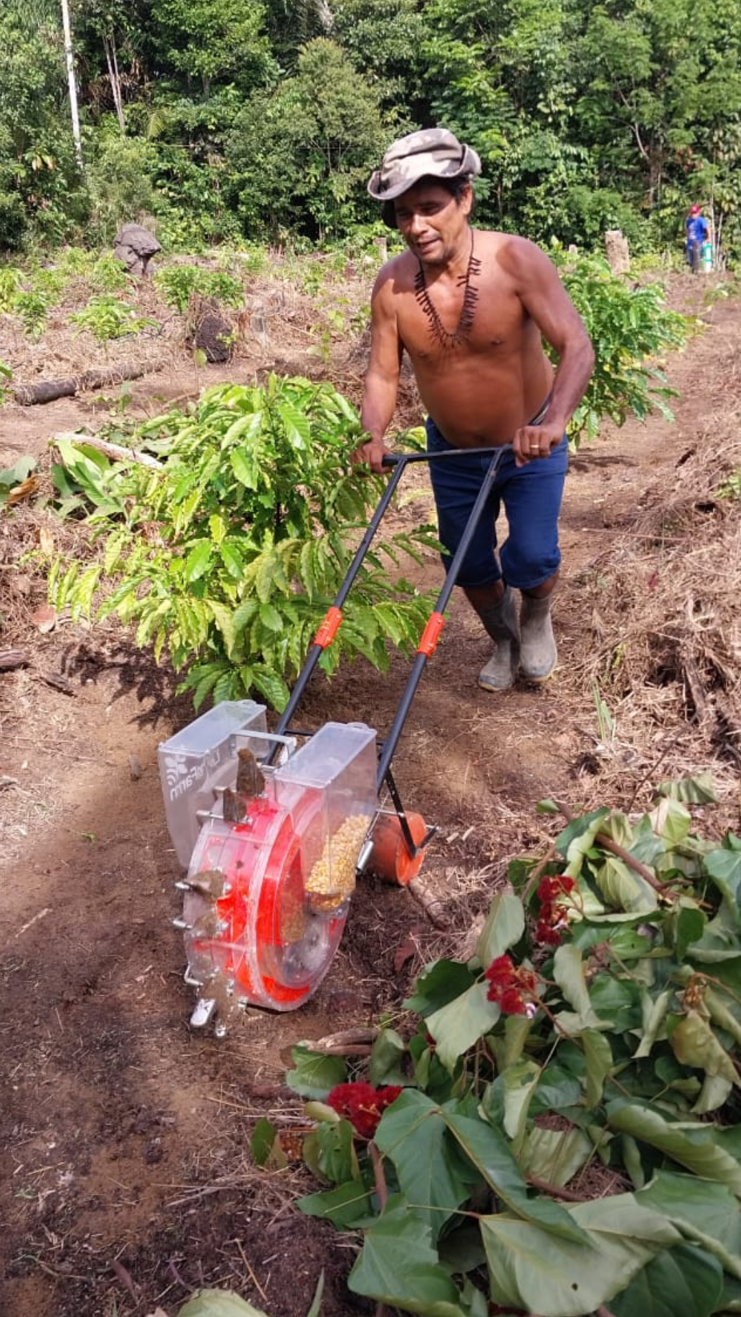 homem-plantando-milho
