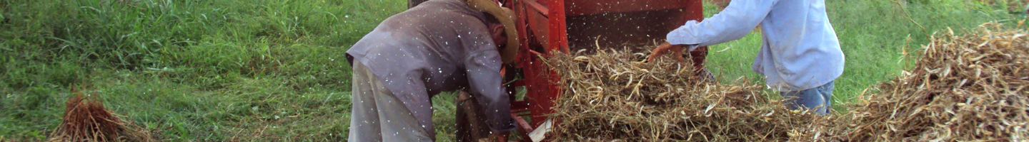 Banner da Pagina