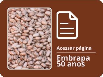 Item PDF (13).jpg