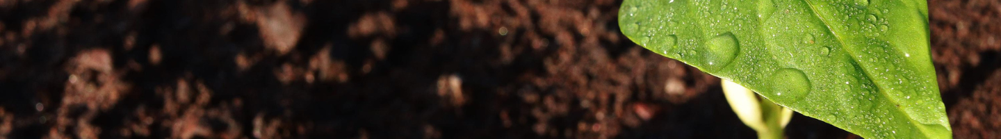 Banner da Pagina