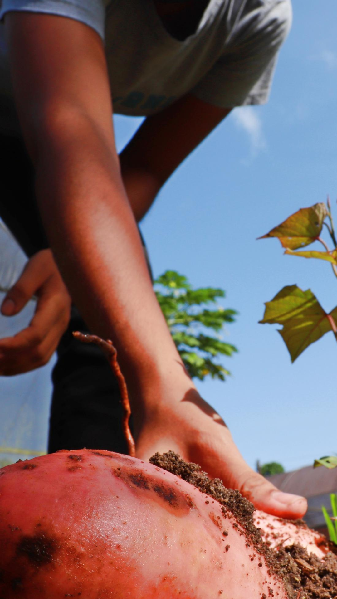 Por que as mudanças climáticas afetam mais as mulheres?