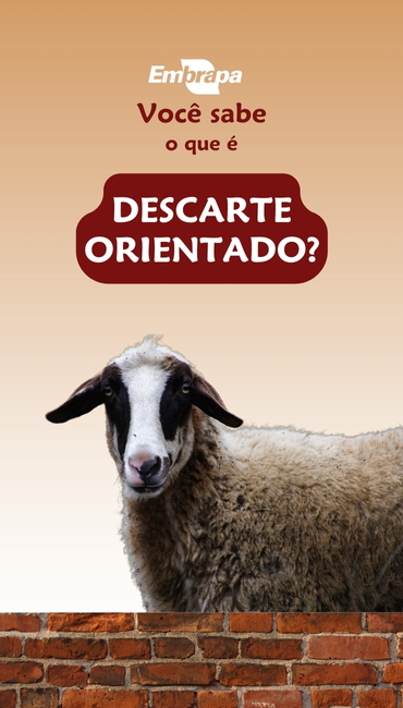 Descarte orientado