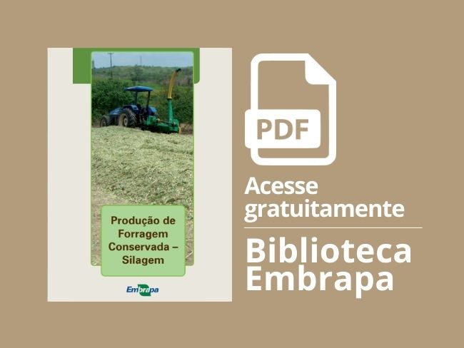 Como produzir silagem com qualidade
