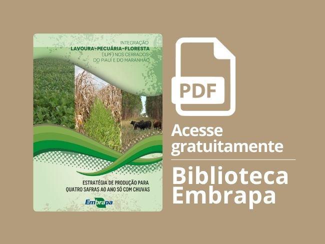 Você sabe o que é Integração Lavoura-Pecuária-Floresta?