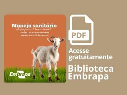 Manejo sanitário de pequenos ruminantes garante saúde para o rebanho!