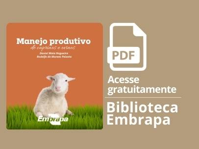 manejo produtivo