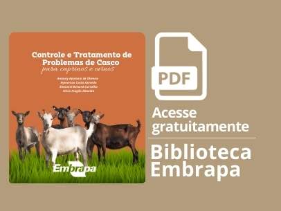 inflamação no casco de ovinos e caprinos