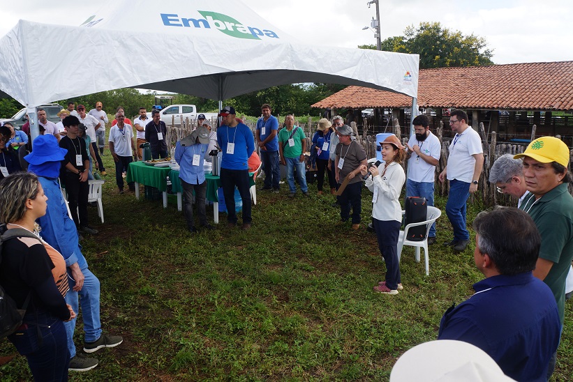 Foto: Adilson Nóbrega
