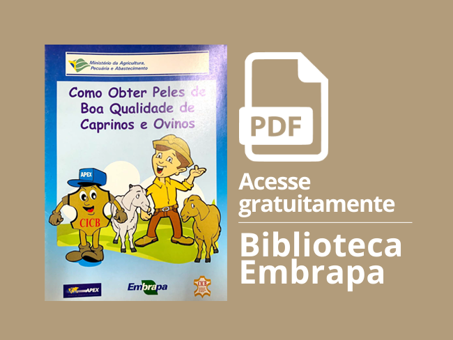 Card folder Como obter peles de boa qualidade