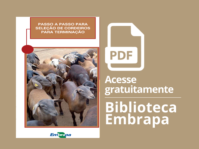 Card folder Passo a passo para seleção de cordeiros para terminação
