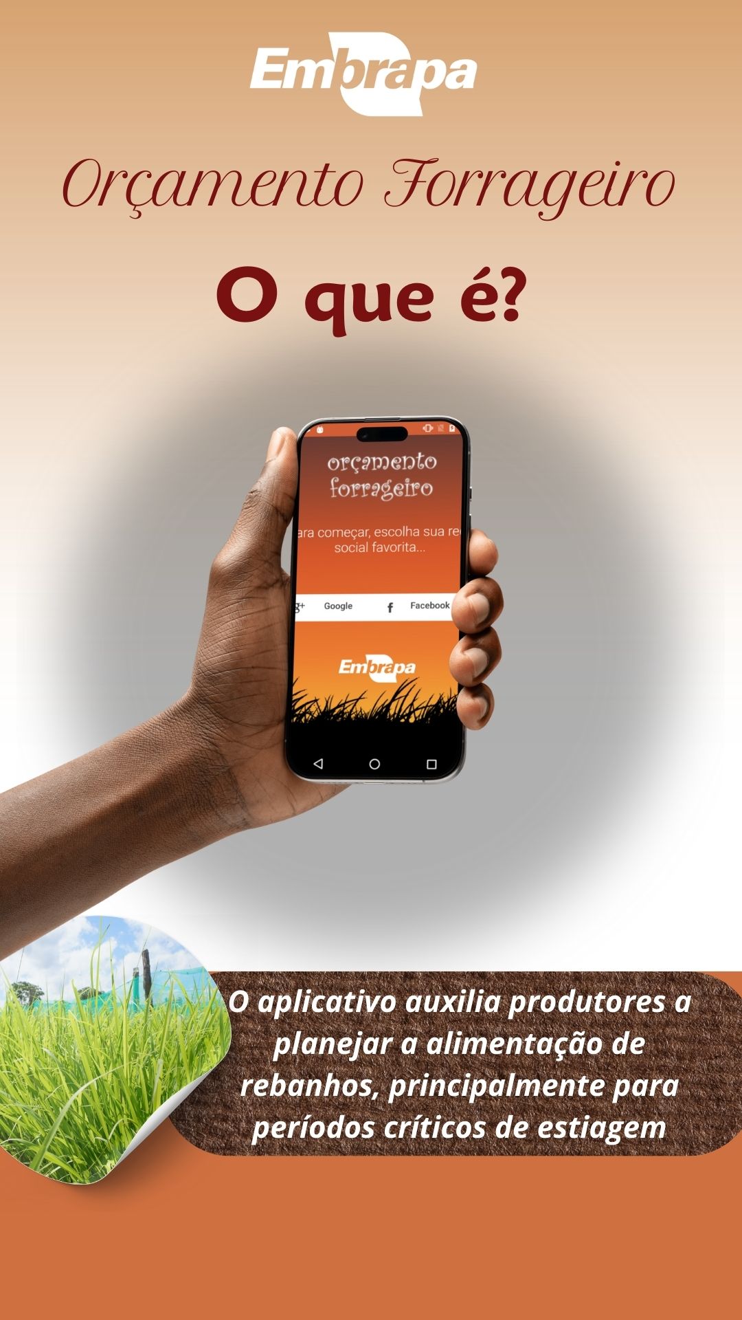 O que é orçamento forrageiro