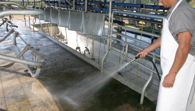 Fontes de contaminação microbiana do leite