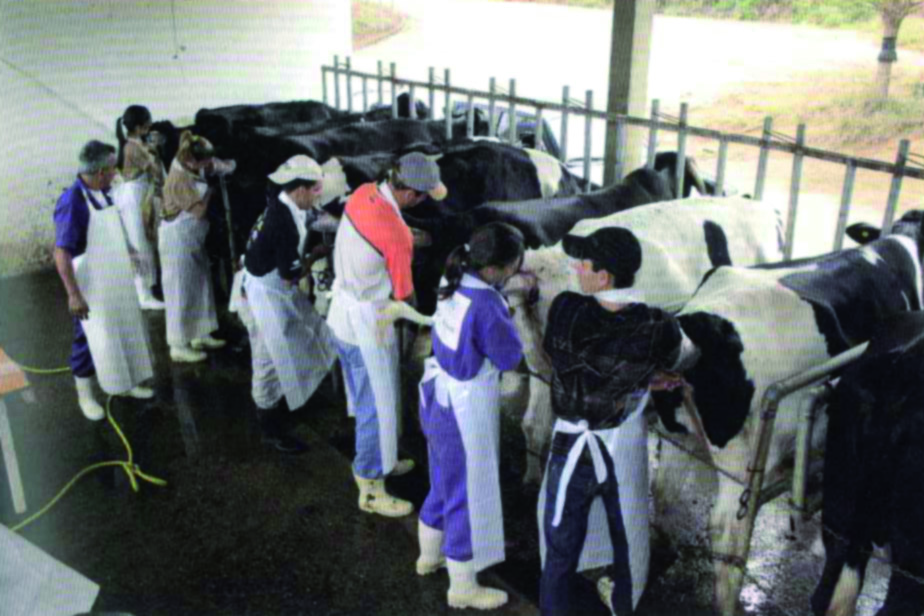 treinamento de inseminadores