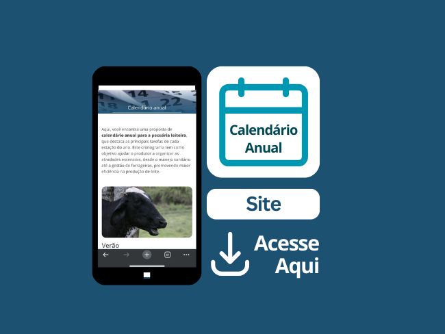 Calendário anual
