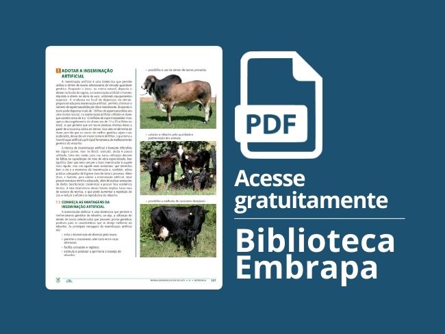 Adotar a inseminação artificial