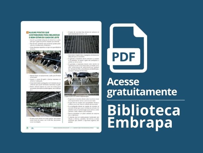 Alguns pontos que contribuirão para melhorar o bem-estar do gado de leite