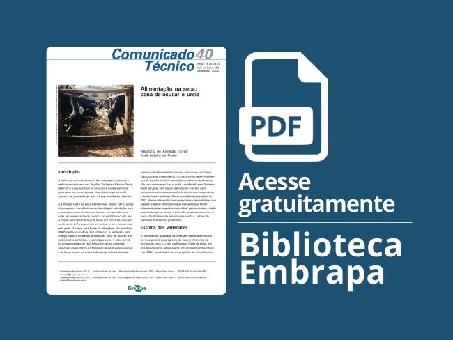 Alimentação na seca: cana-de-açúcar e ureia