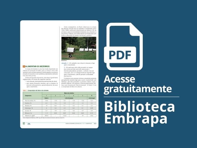 Alimentar os bezerros