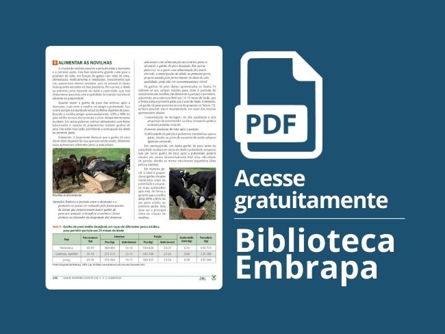Alimentar as novilhas