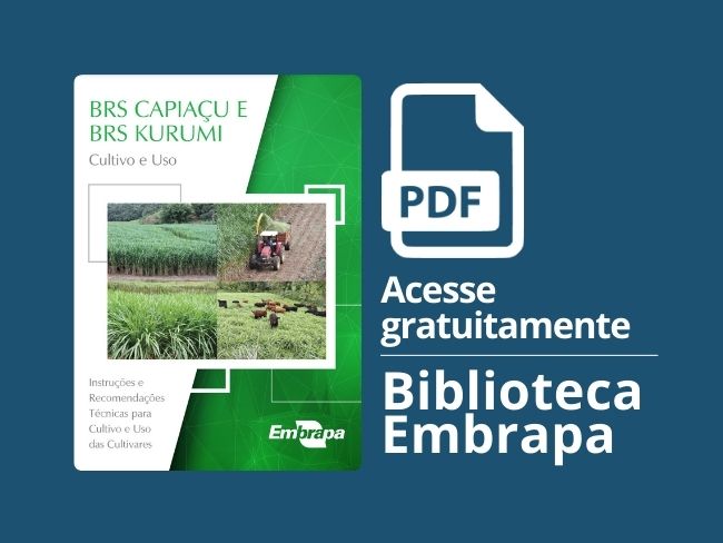 BRS Capiaçu e BRS Kurumi: cultivo e uso