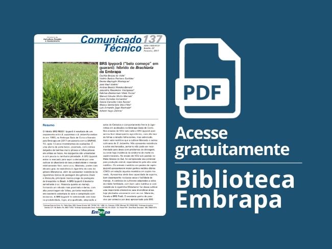 BRS Ipyporã (“belo começo” em guarani): hibrido de Brachiária da Embrapa