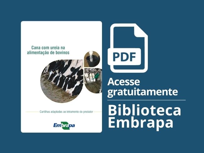 Cana com ureia na alimentação de bovinos