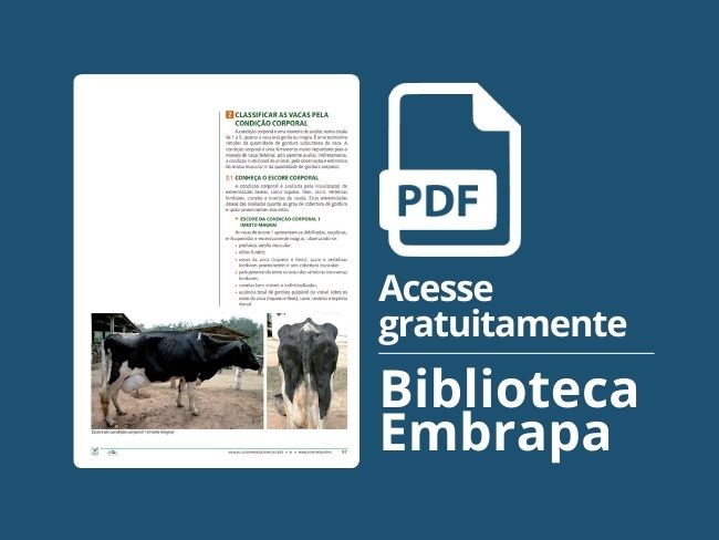 Classificar as vacas pela condição corporal
