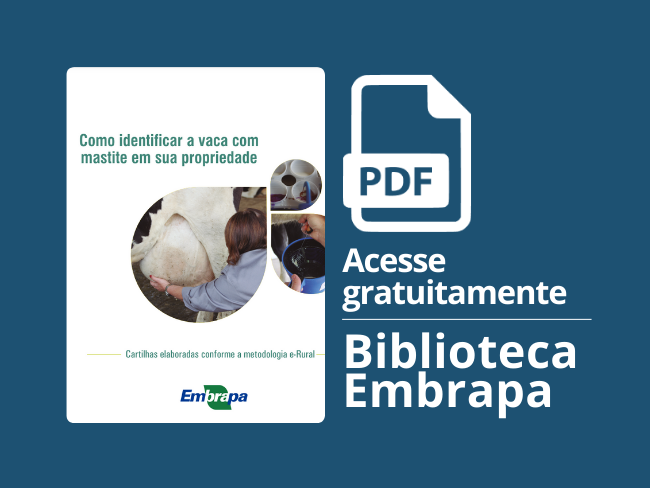 Como identificar a vaca com mastite em sua propriedade