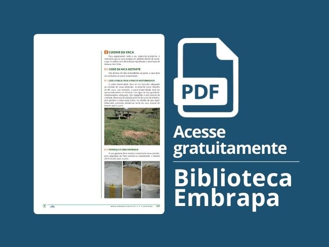 Cuidar da vaca
