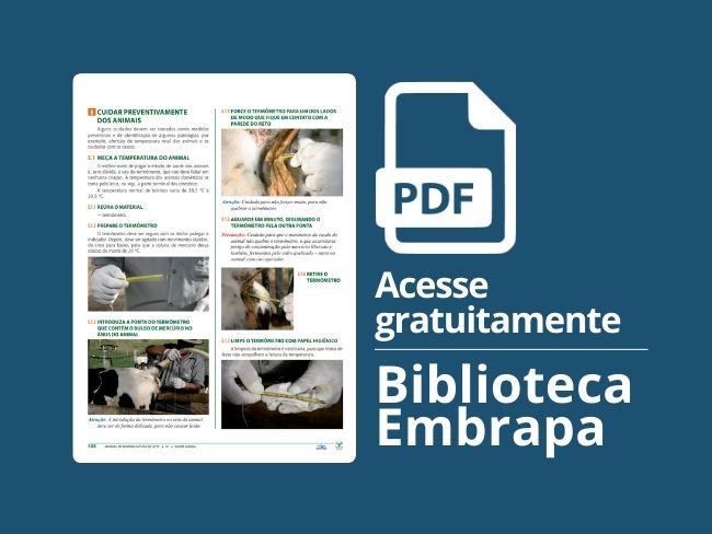 Cuidar preventivamente dos animais