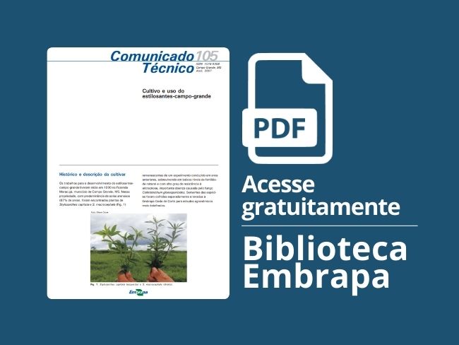 Cultivo e uso do Estilosantes-campo-grande