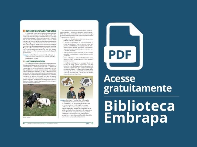 Definir o sistema reprodutivo