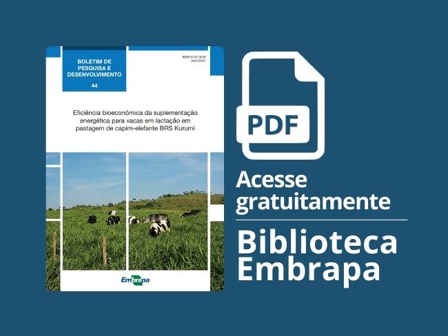 Eficiência bioeconômica da suplementação energética para vacas em lactação em pastagem de capim-elefante BRS Kurumi