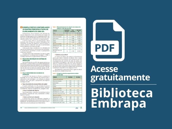 Exemplo prático contemplando as quatro principais etapas de planejamento de uma UPL