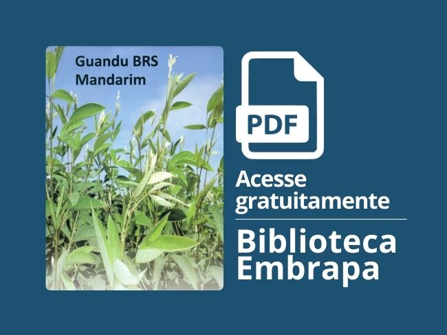 Guandu BRS Mandarim