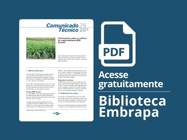 Informações sobre a cultivar de capim-elefante BRS Kurumi