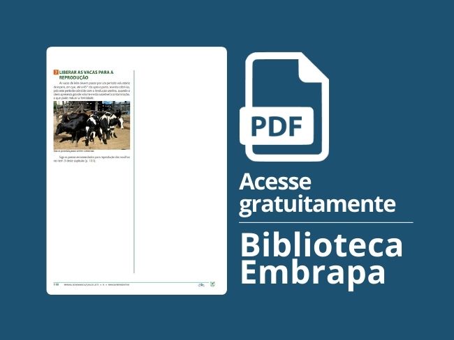 Liberar as vacas para a reprodução
