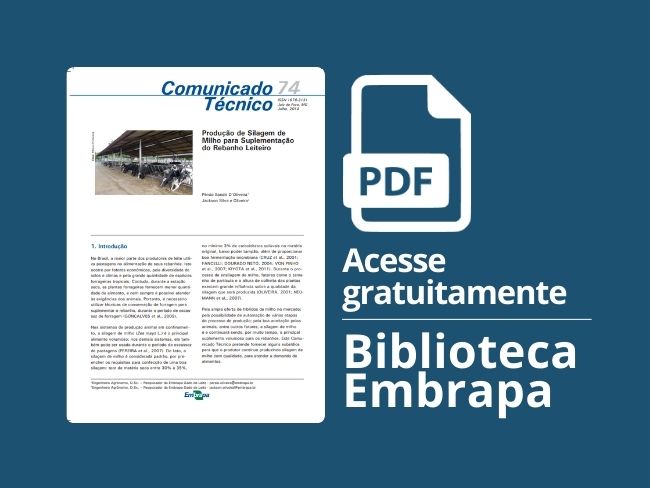 Produção de silagem de milho para suplementação do rebanho leiteiro
