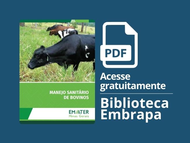 Manejo sanitário de bovinos