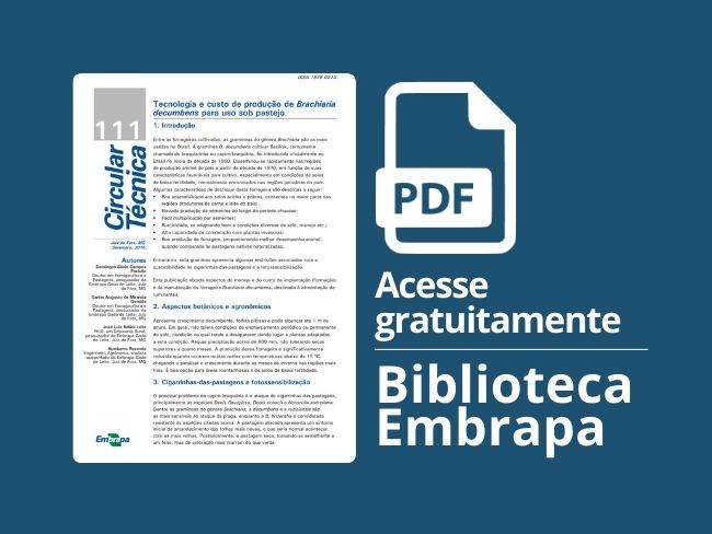 Tecnologia e custo de produção de Brachiaria decumbens para uso sob pastejo